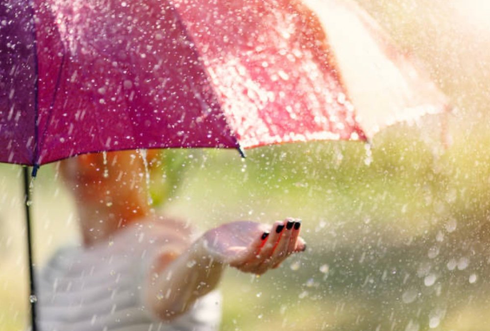 A Meeting That Began Under the Rain