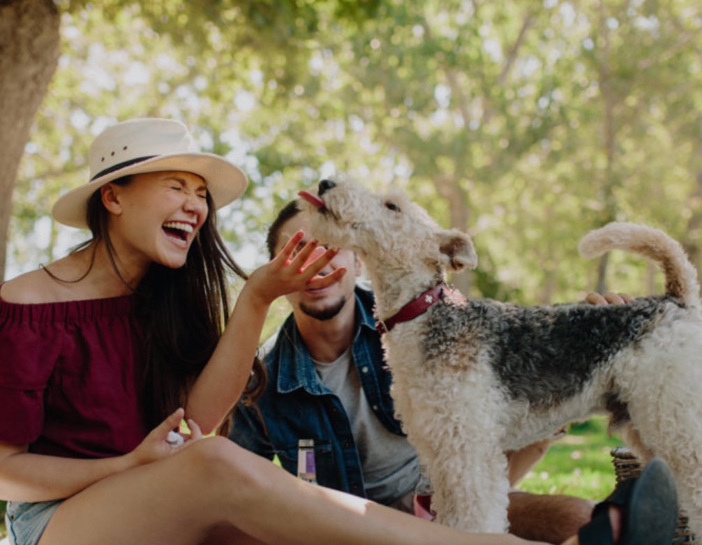 Love That Began in the Park: Coincidence or Fate?